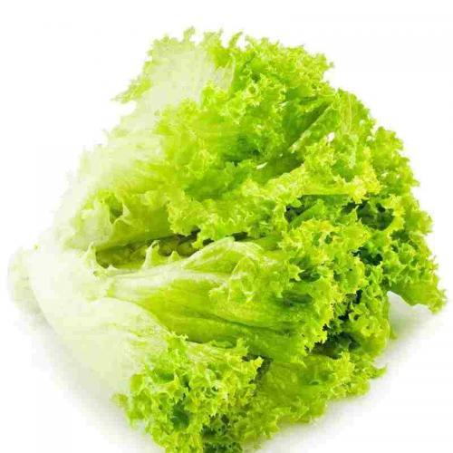 现摘奶油生菜｜400g±10g/份｜冰袋锁鲜｜脆嫩无渣｜沙拉专供