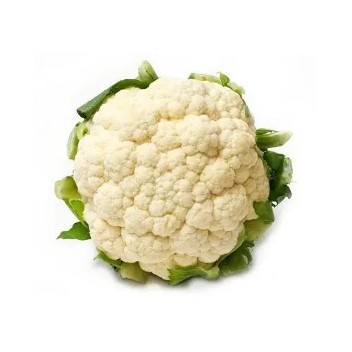 新鲜白花菜｜500g±10g/份｜现摘现发｜紧实花球｜当季时蔬