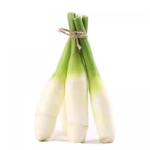 新鲜茭白｜500g±20g/份（约4-6根）｜现挖现发｜嫩白鲜甜｜当季时蔬