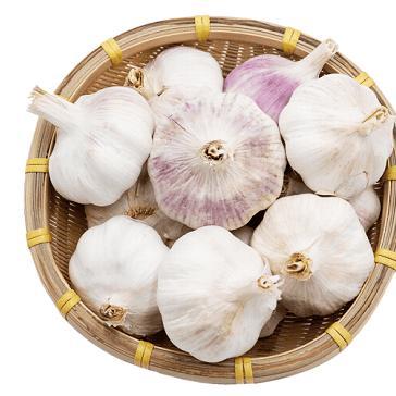干蒜头｜250g±10g/份（约3-4头）｜新货上市｜辛辣浓郁｜耐储存